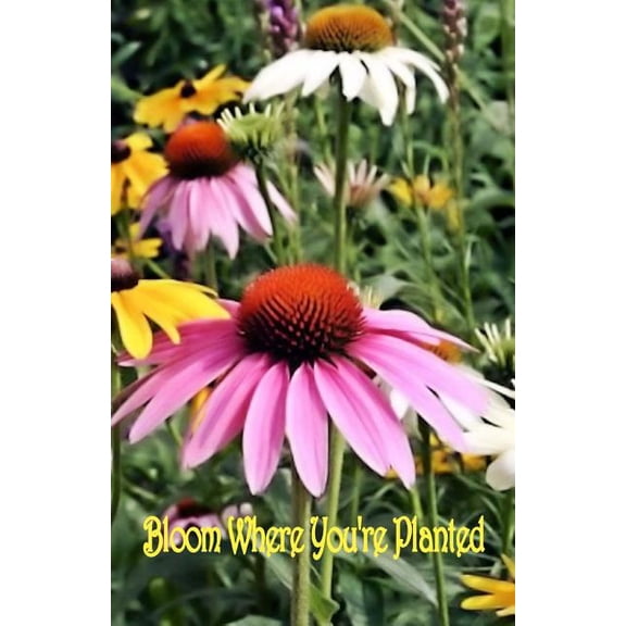 Bloom Where You're Planted, (Paperback)