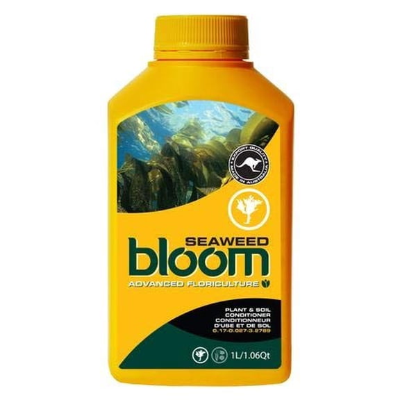 Bloom Yellow Bottle Seaweed 1L
