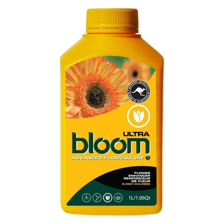 Bloom Yellow Bottles Ultra