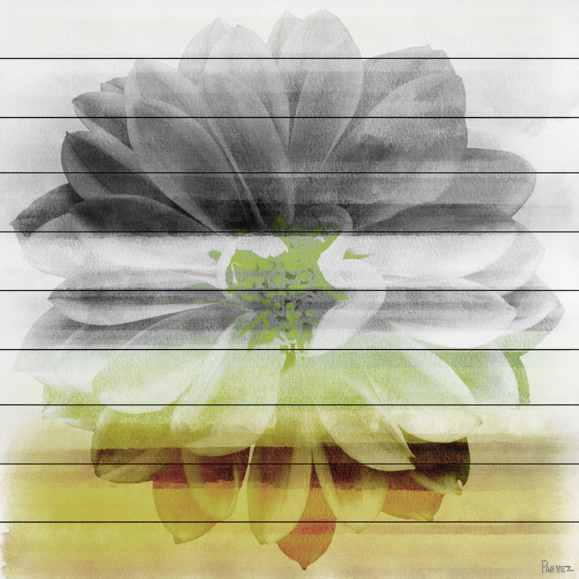 Modern Square Floral Abstract Print on White Wood Canvas