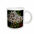 thumbnail image 1 of 3drose, Bloomed White Crepe Myrtle, 15oz Mug, 1 of 6