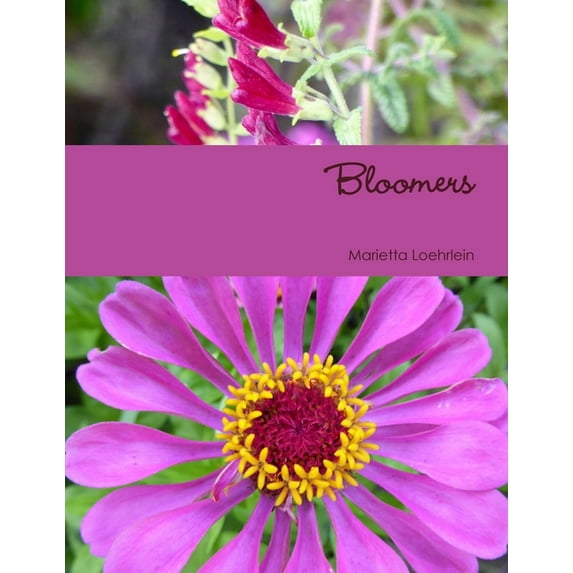 Bloomers, (Paperback)