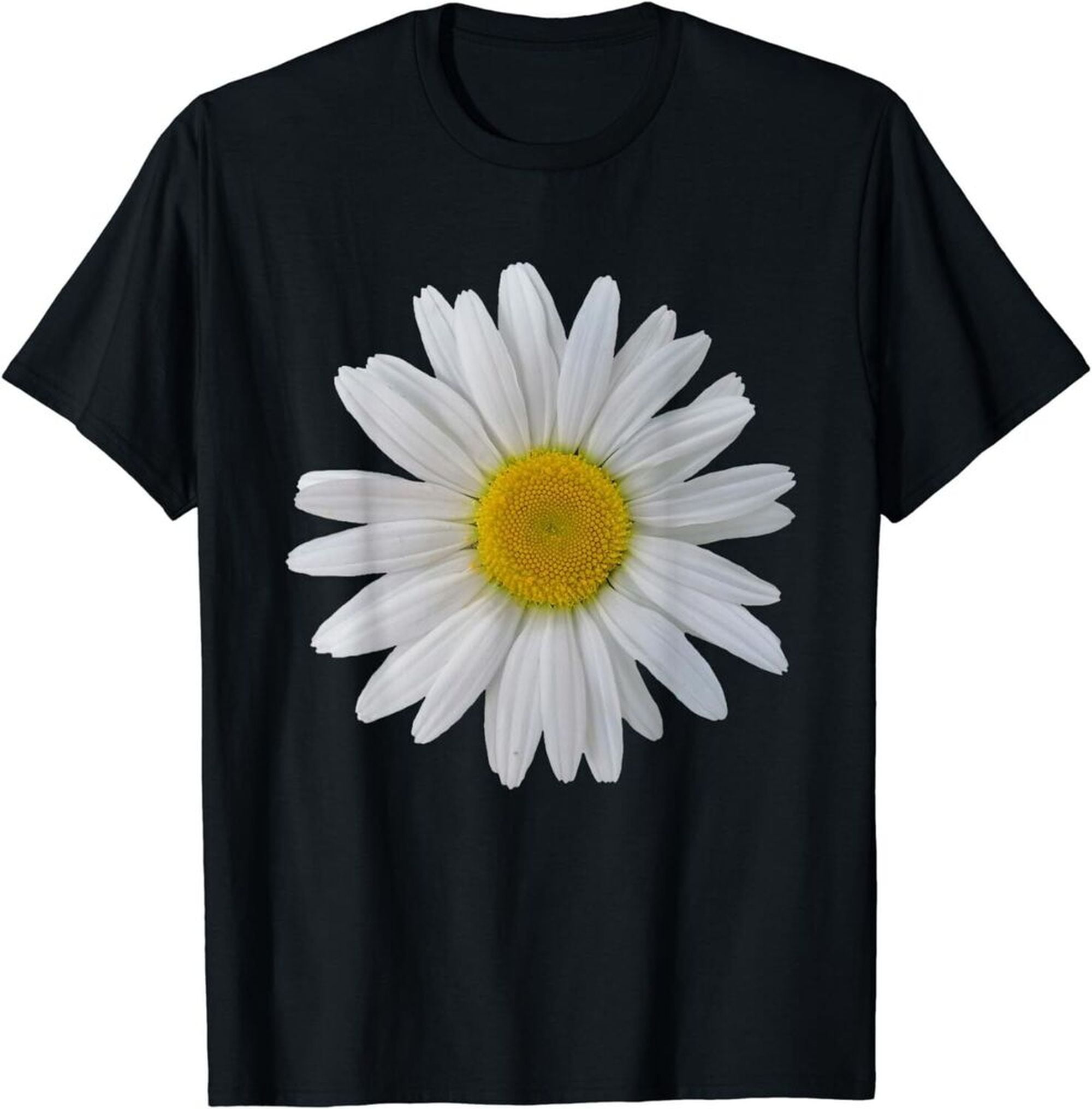 Full Daisy Bloom Video: An Unexpected Delight - k6k42zm