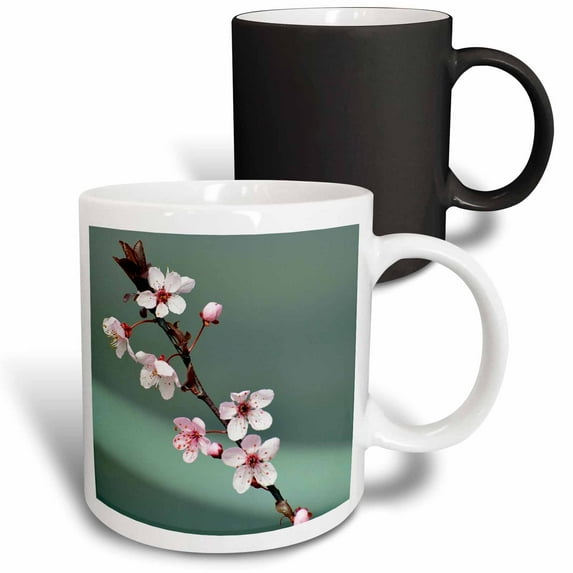 3drose, Blooming in Pink - Cherry Blossom Flowers - Photography, 11oz Magic Transforming Mug