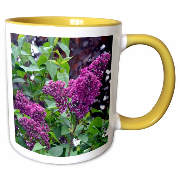 3drose, Blooming Lilacs in Michigan, 11oz Two-tone Yellow Mug