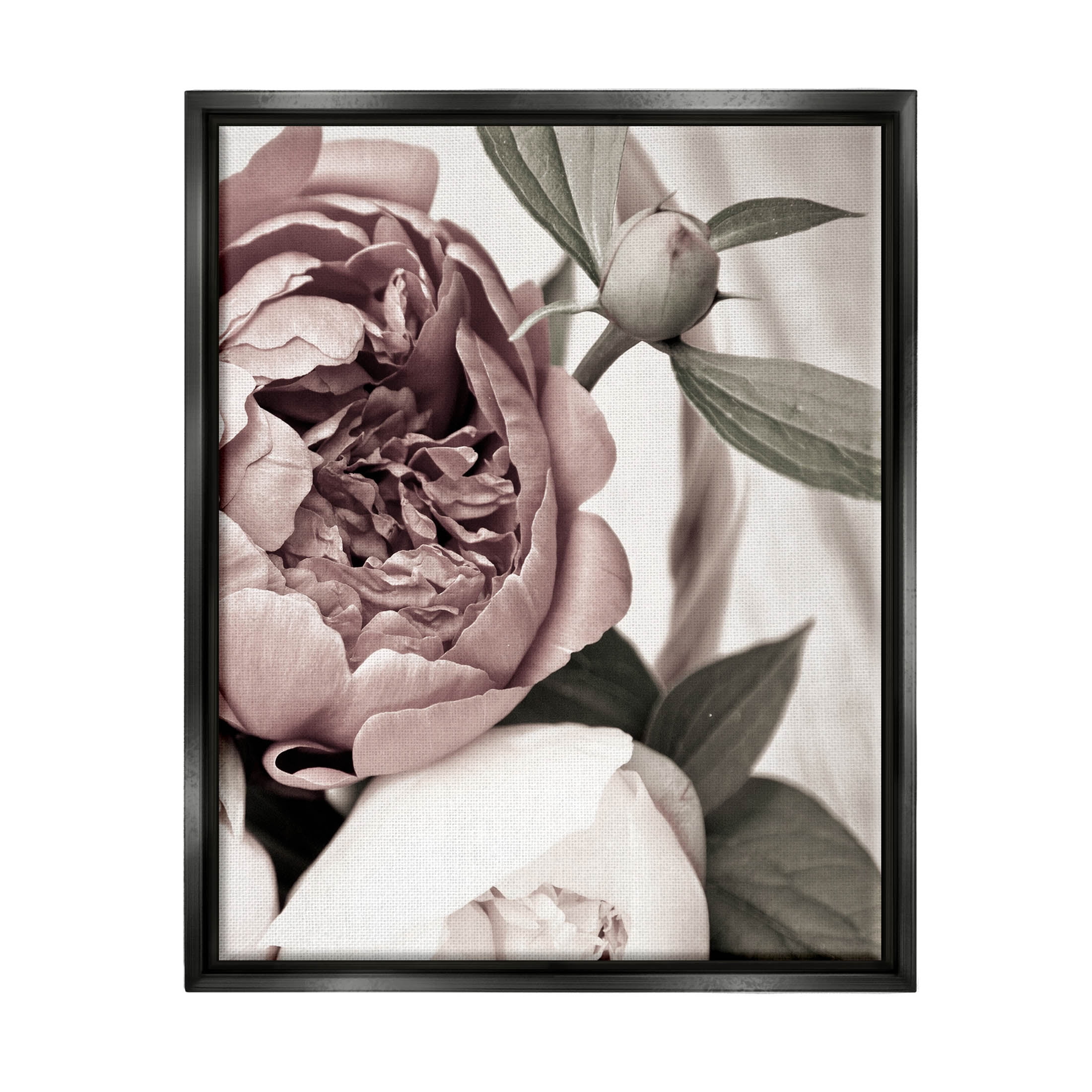 Blooming Peony Flower Buds Botanical & Floral Photograph Jet Black Framed Art Print Wall Art
