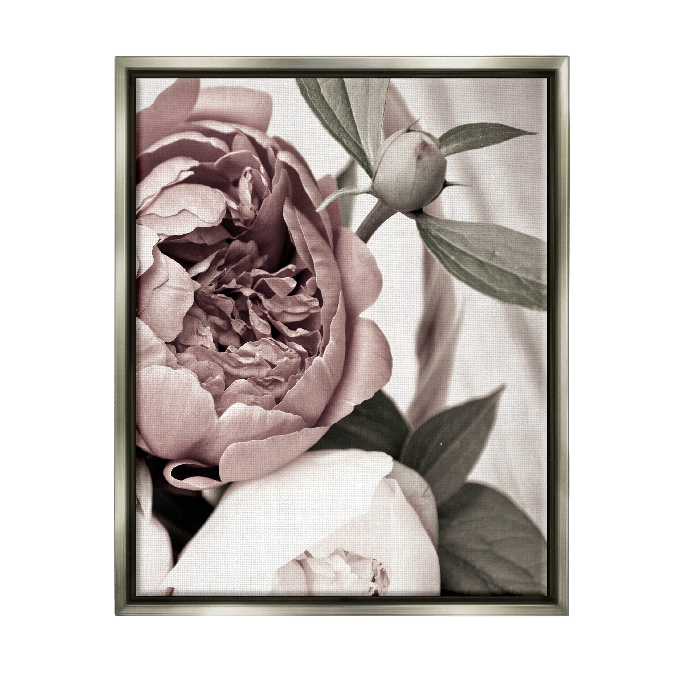 Blooming Peony Flower Buds Botanical & Floral Photograph Luster Gray Framed Art Print Wall Art