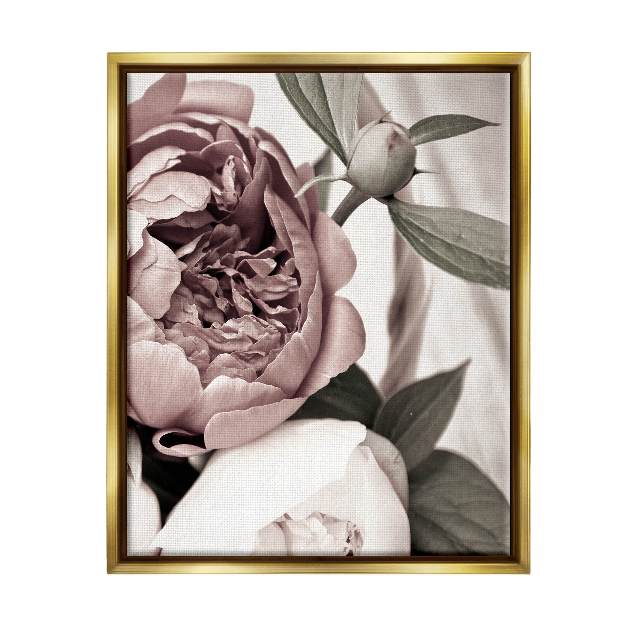 Blooming Peony Flower Buds Botanical & Floral Photograph Metallic Gold Framed Art Print Wall Art