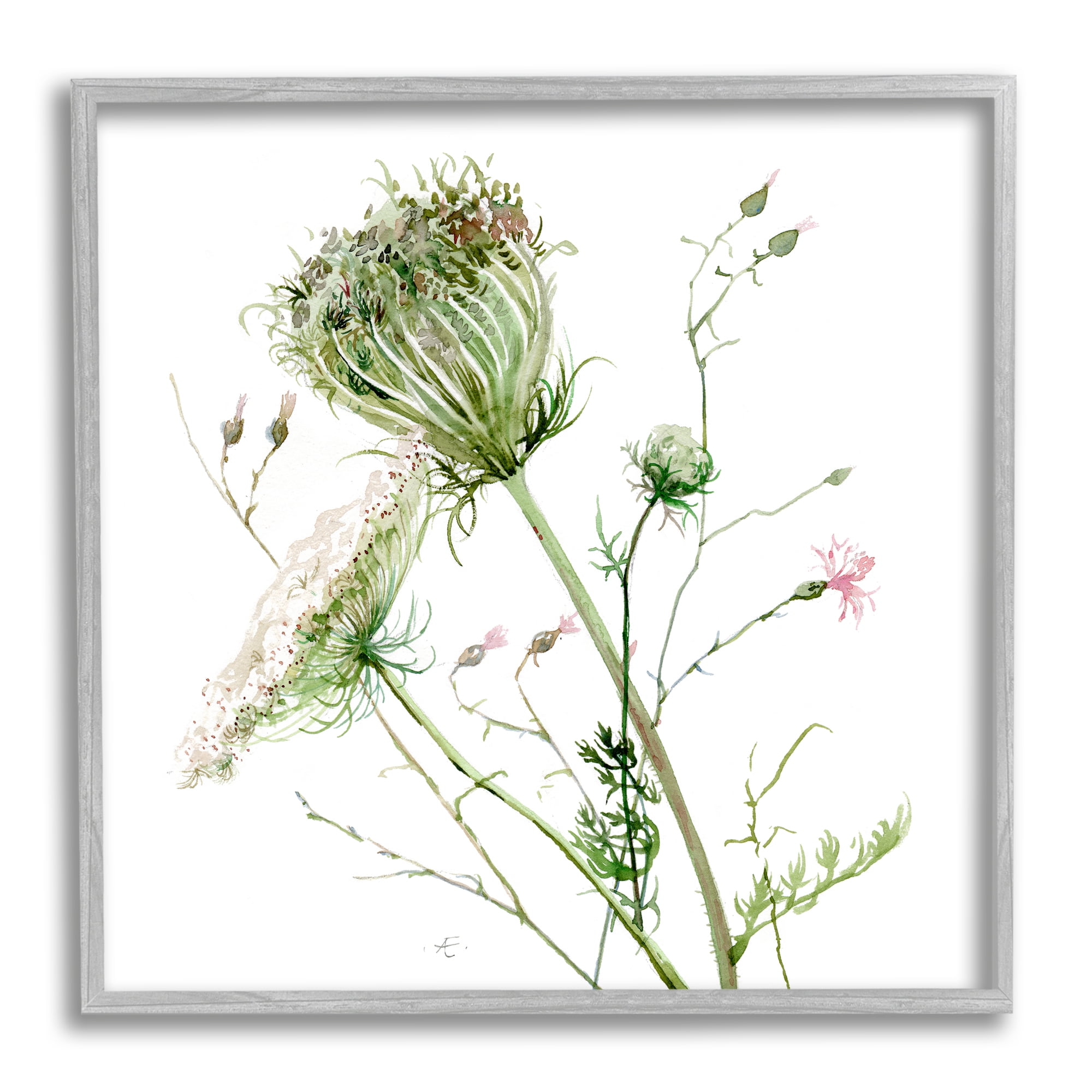 Blooming Queen Anne's Lace Wildflower Watercolor Painting Botanical & Floral Framed Art Print Wall Art, 17x17