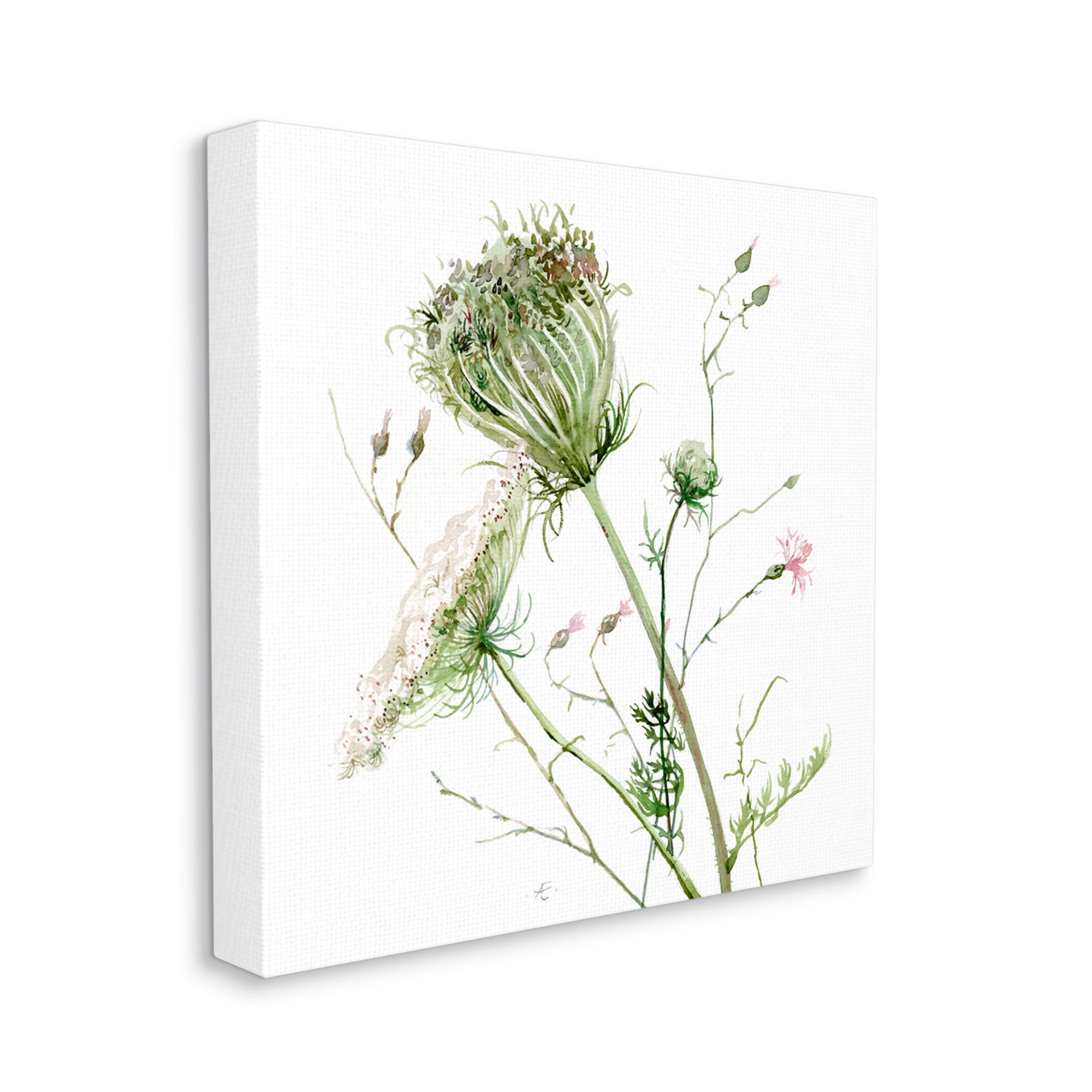 Blooming Queen Anne's Lace Wildflower Watercolor Painting Botanical & Floral Gallery-Wrapped Canvas Print Wall Art, 17x17