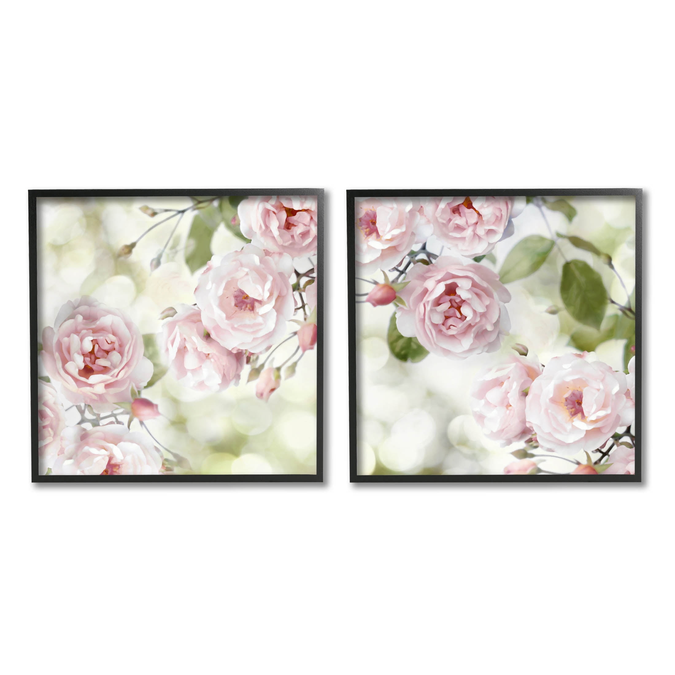 Blooming Rose Bush Floral Nature Botanical & Floral Graphic Art Black Framed Art Print Wall Art, Set of 2