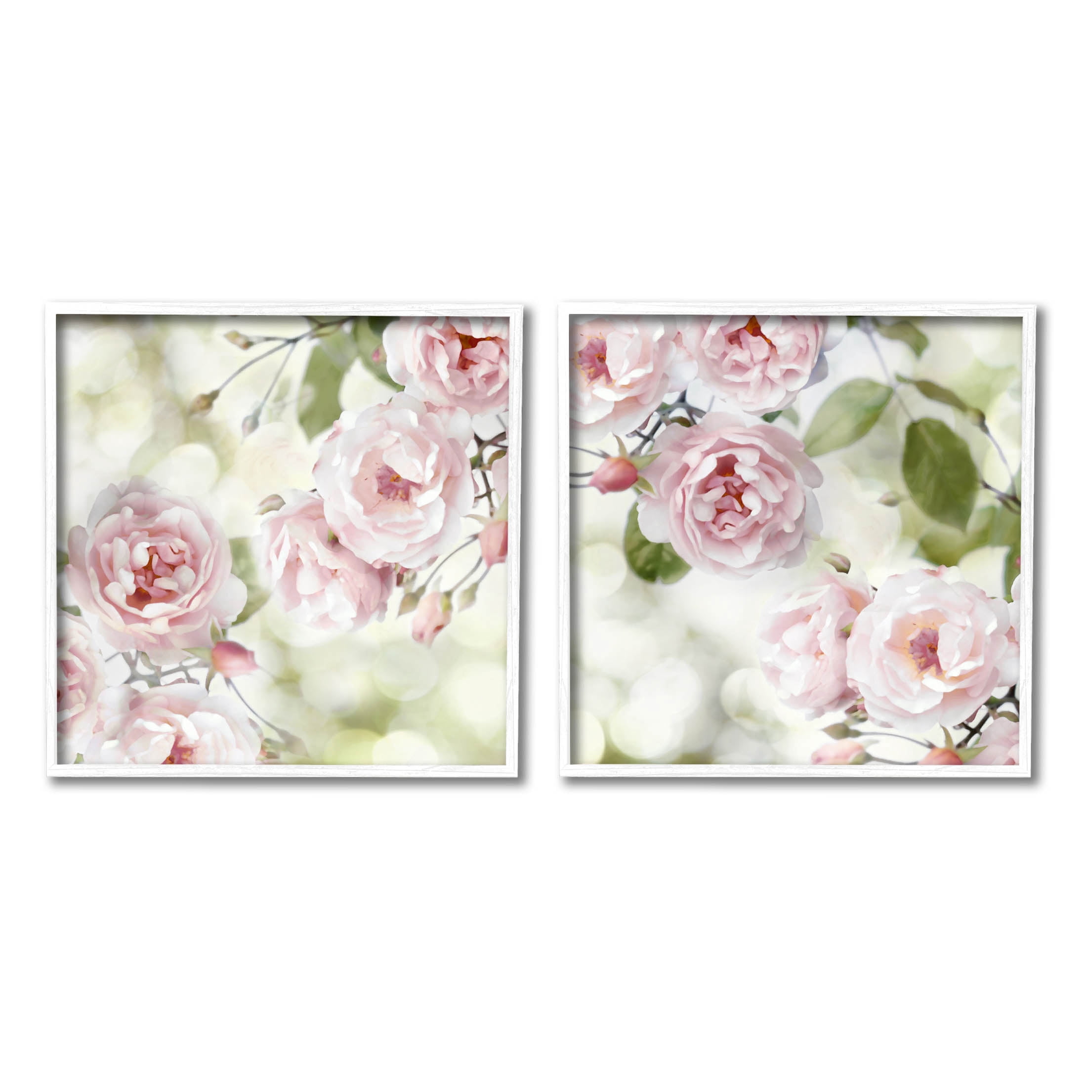 Blooming Rose Bush Floral Nature Botanical & Floral Graphic Art White Framed Art Print Wall Art, Set of 2