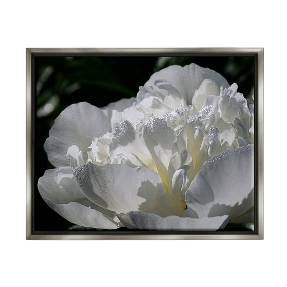Blooming White Petals Photography Botanical & Floral Photograph Luster Gray Framed Art Print Wall Art