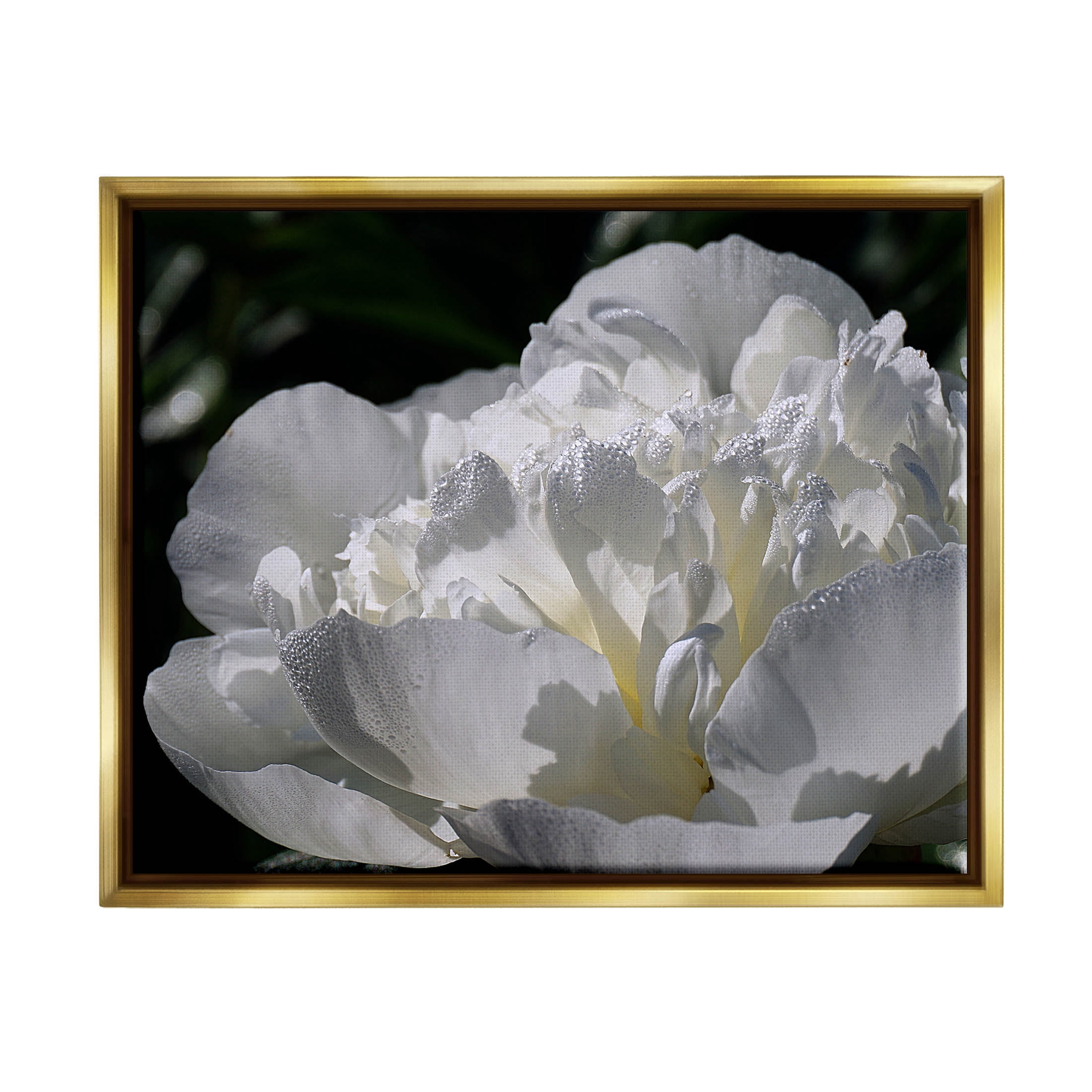 Blooming White Petals Photography Botanical & Floral Photograph Metallic Gold Framed Art Print Wall Art