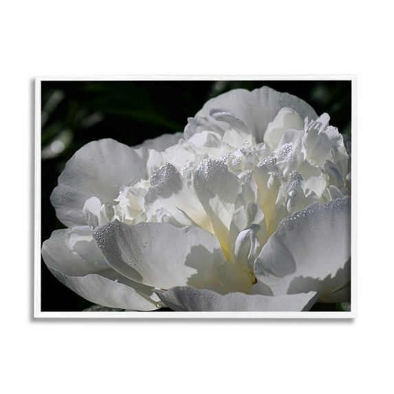 Blooming White Petals Photography Botanical & Floral Photograph White Framed Art Print Wall Art