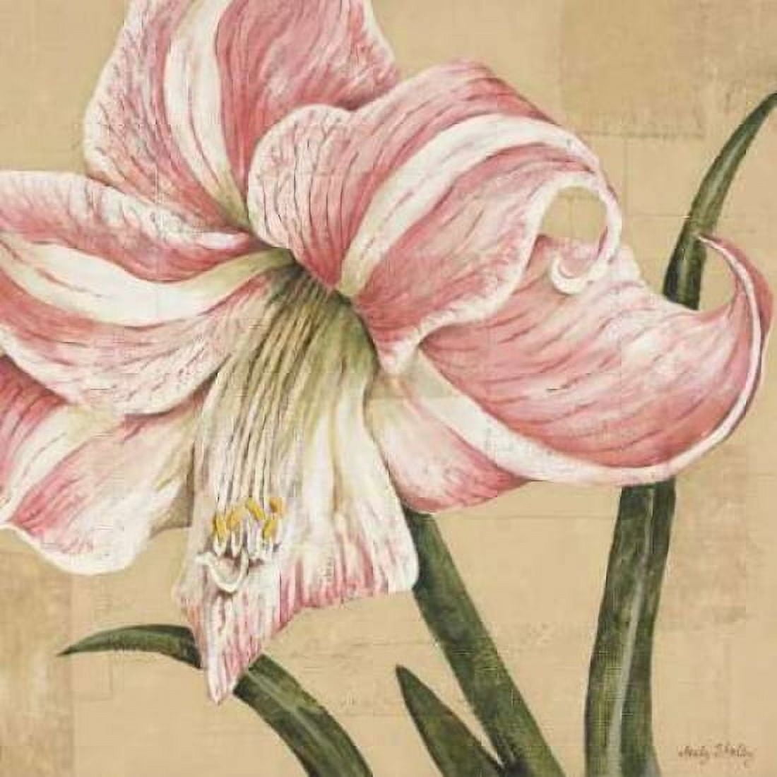 Blooming Wonder II Canvas Art - Judy Shelby (24 x 24)