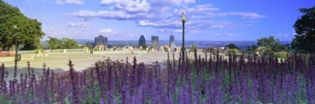 Blooming flowers with city skyline in the background Kondiaronk Belvedere Mt Royal Montreal Quebec Canada 2010 Canvas Art - Panoramic Images (18 x 6)