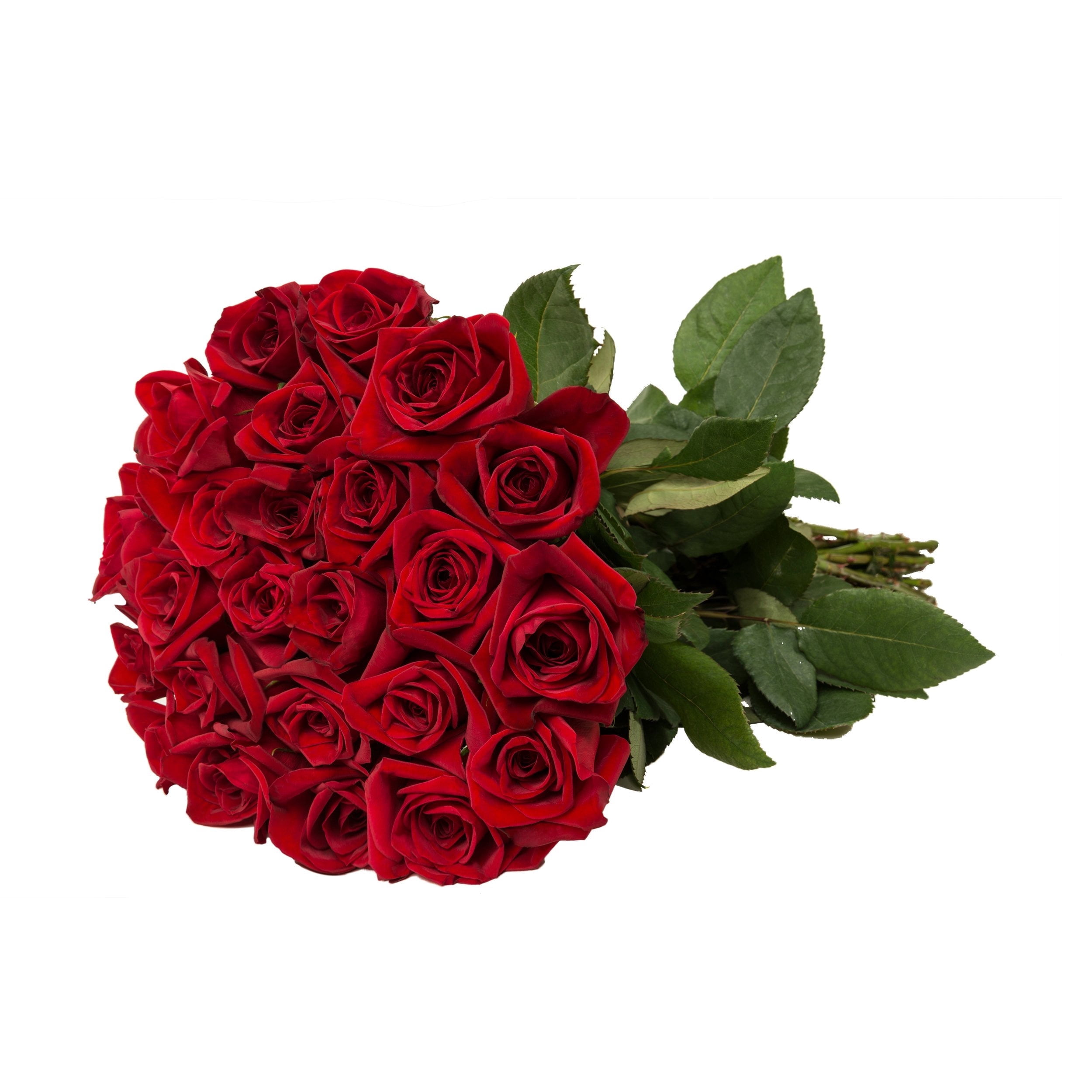 Alex Roses Flowers Bloomingmore, Fresh Cut Flowers, Red Roses Gift - 24 Stems - Walmart.com