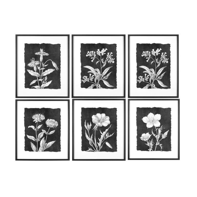 bloomingville-botanical-print-wall-d-cor-portrait-with-glass-and-wood-frame-black-and-white-set-of-6-walmart-com for Free Printable Black And White Botanical Prints Bloomingville Botanical Print Wall Décor Portrait with Glass and Wood Frame, Black and White, Set of 6 - Walmart.com for Free Printable Black And White Botanical Prints