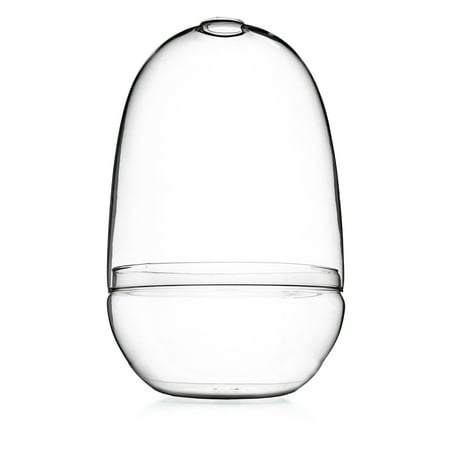 Bloomingville Large Egg Shaped Glass Terrarium, Clear