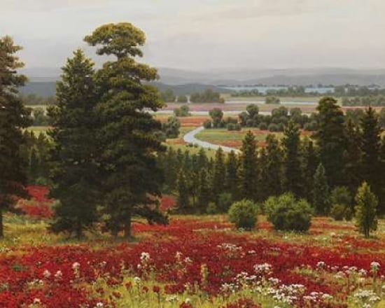 Blooms Above the Valley Canvas Art - Hilger (24 x 30)
