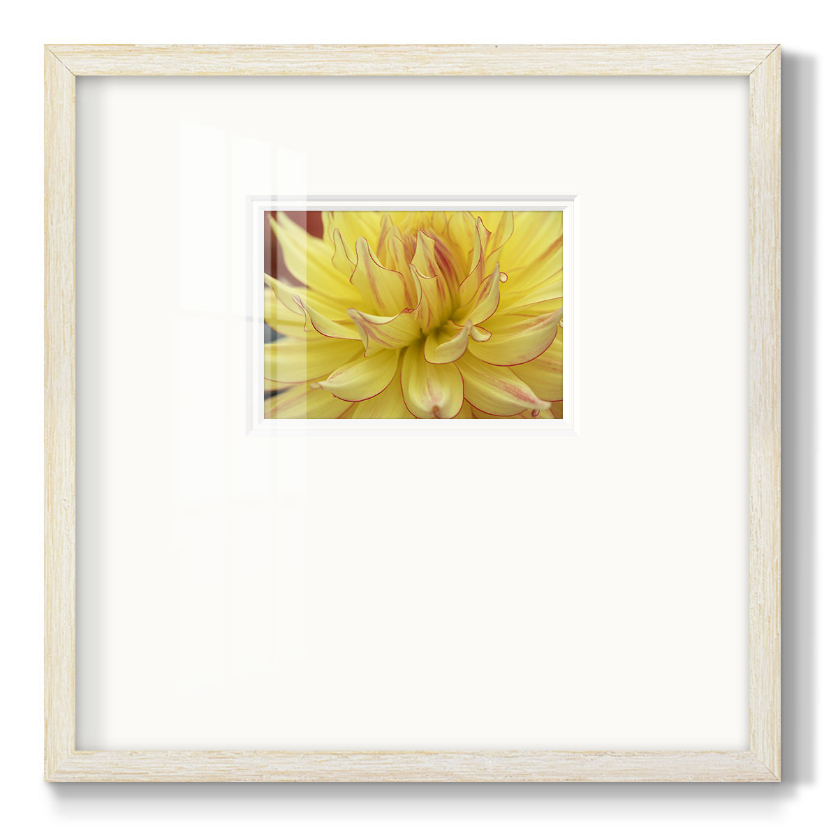 Blooms I-Premium Framed Print