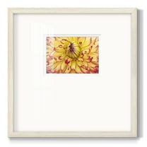 Blooms IIPremium Framed Print