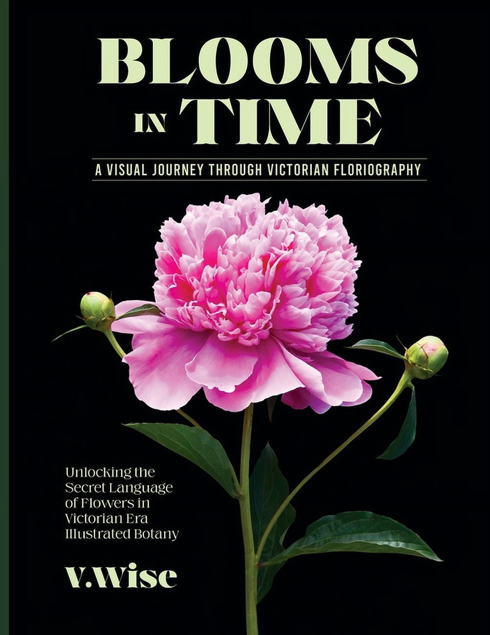 Blooms in Time: Unlocking the Secret Language of Flowers in Victorian Era Illustrated Botany (Paperback)