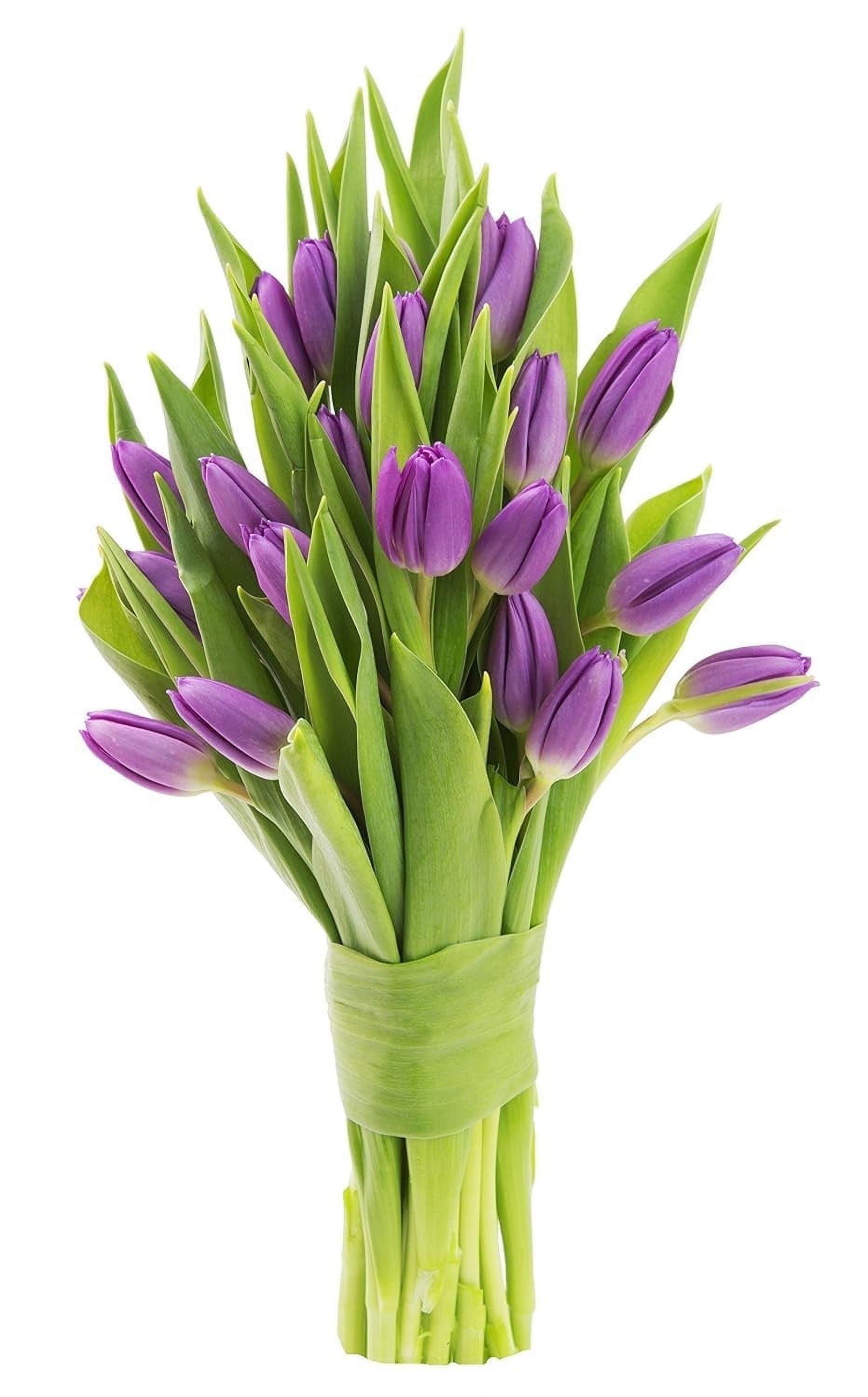 Fresh Purple Tulip Bouquet with Vase for Any Occasion