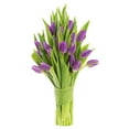 Blooms2Door 30 Purple Tulips (FarmFresh Flowers, CuttoOrder, and