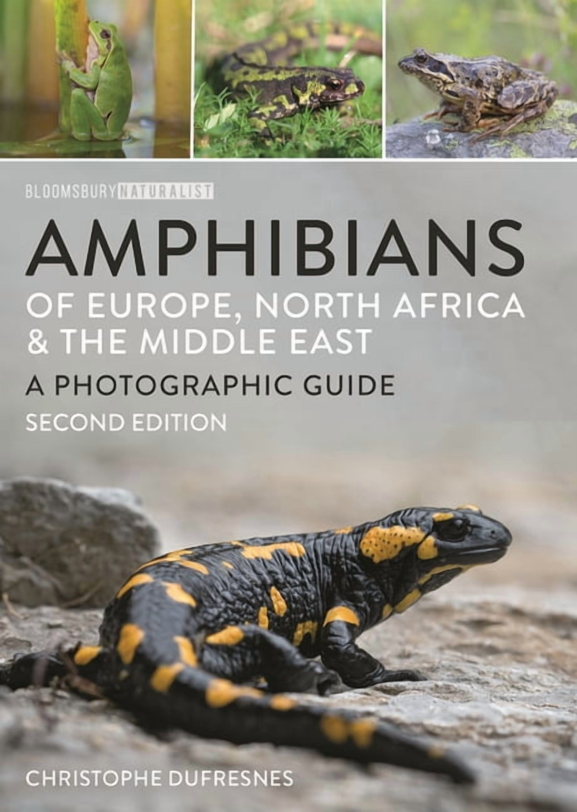 Bloomsbury Naturalist Amphibians of Europe, North Africa and the Middle East: Second Edition, (Paperback)
