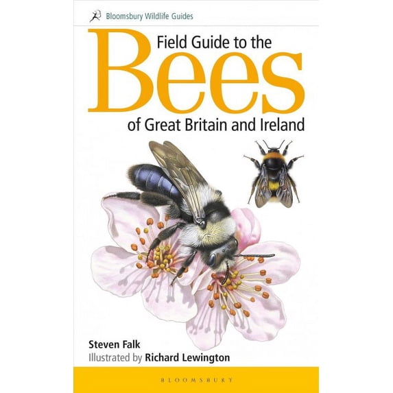 Bloomsbury Wildlife Guides: Field Guide to the Bees of Great Britain and Ireland (Paperback)