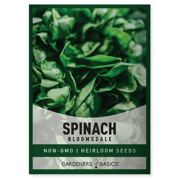 Bloomsdale Spinach Seeds