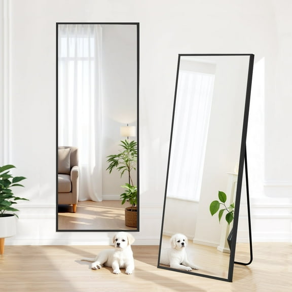 Blorly 21" x 64" Black Modern Full Length Rectangular Floor Mirror
