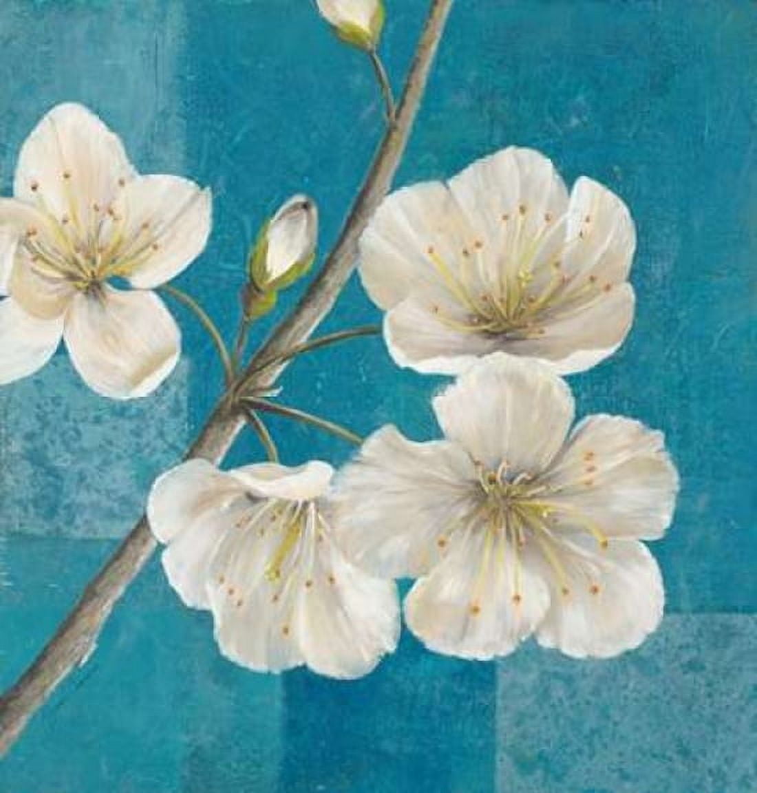 Blossom Bough Canvas Art - Jurgen Gottschlag (24 x 24)