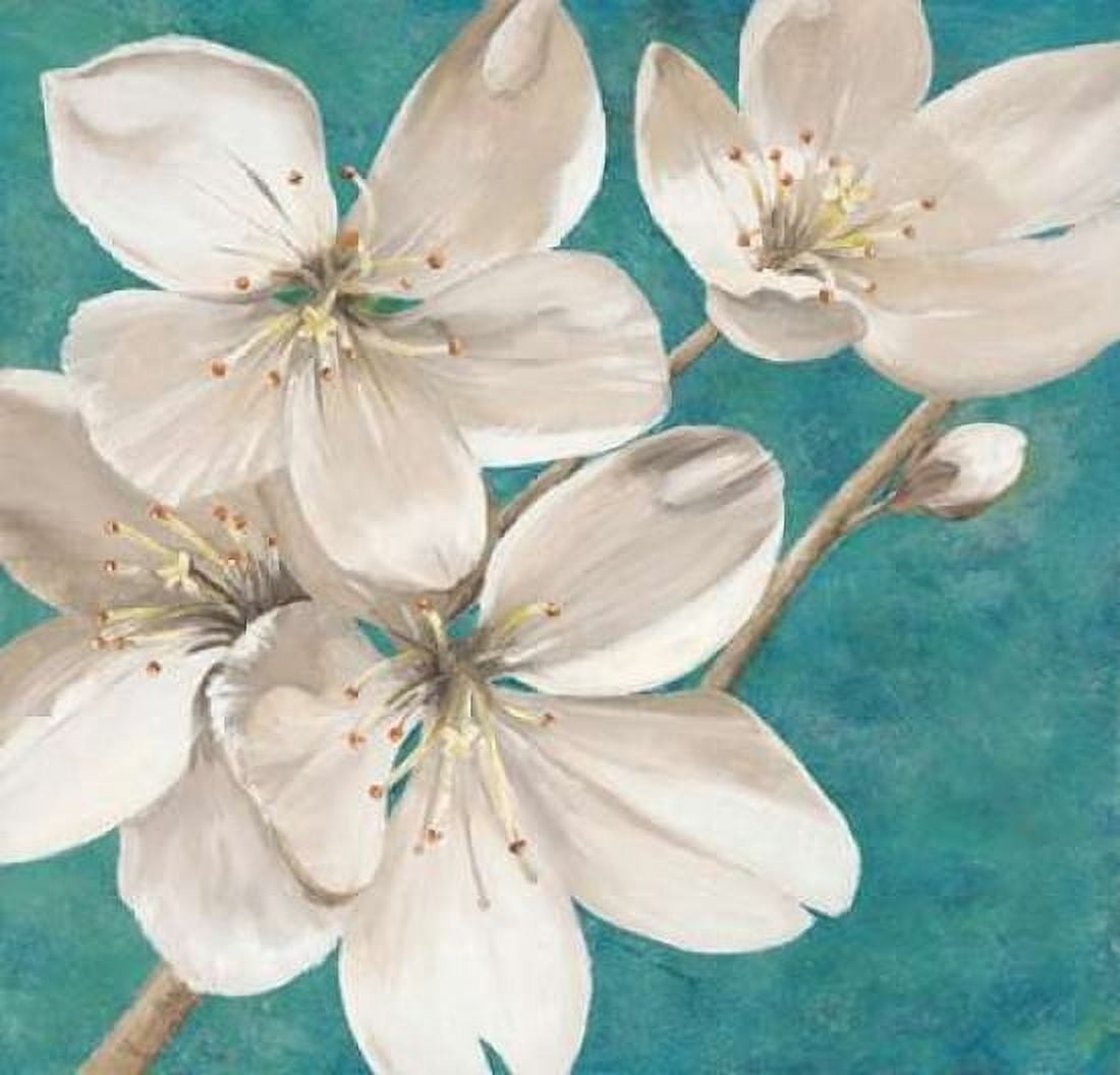 Blossom Bounty Canvas Art - Jurgen Gottschlag (24 x 24)