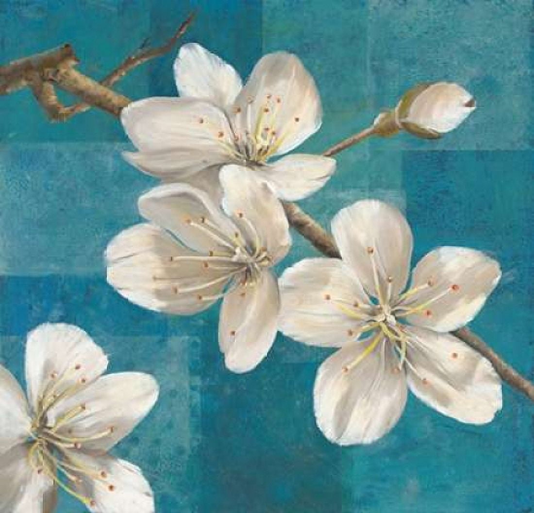 Blossom Branch Canvas Art - Jurgen Gottschlag (24 x 24)