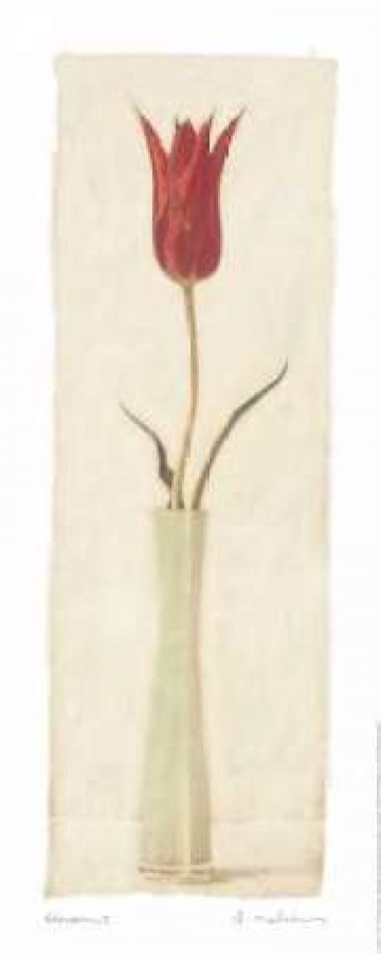 Blossom I Canvas Art - Amy Melious (10 x 20)