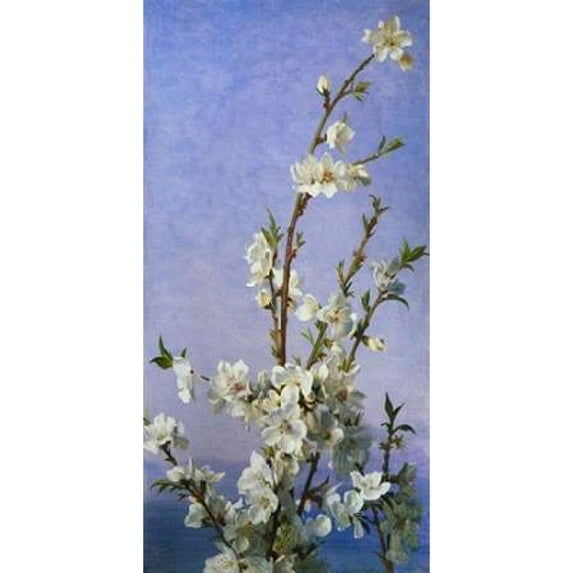 Blossom II Poster Print by Sophie Anderson