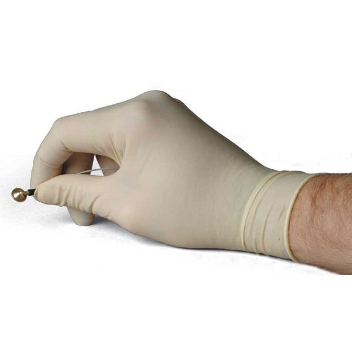 Blossom Latex Powder Free Exam Gloves by Mexpo International, 100 per