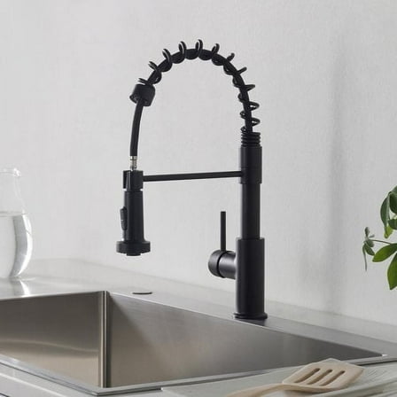 Blossom Commercial Style 2 -Function, Pull Down Single Handle Kitchen Sink Faucet in Matte Black