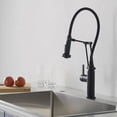 thumbnail image 1 of Blossom Pull Down Single Handle Kitchen Faucet, 1 of 4
