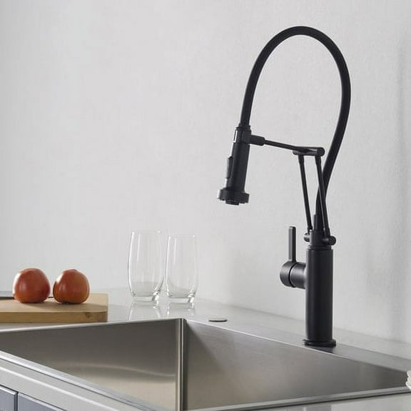 Blossom Pull Down Single Handle Kitchen Faucet