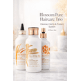 thumbnail image 1 of Blossom Pure 3-Piece Hair Care Set – Shampoo, ACV Rinse Clarifying Rinse & Heat Protectant, 1 of 3