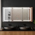 thumbnail image 1 of Blossom Rigel 60" LED Medicine Cabinet | Aluminum Frame | Adjustable Shelves| Smart Memory | Defogger, 1 of 11