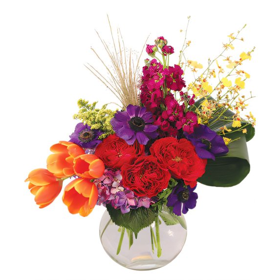 Blossom Street Florist Regal Treasure Lifestyle Arrangement - Deluxe