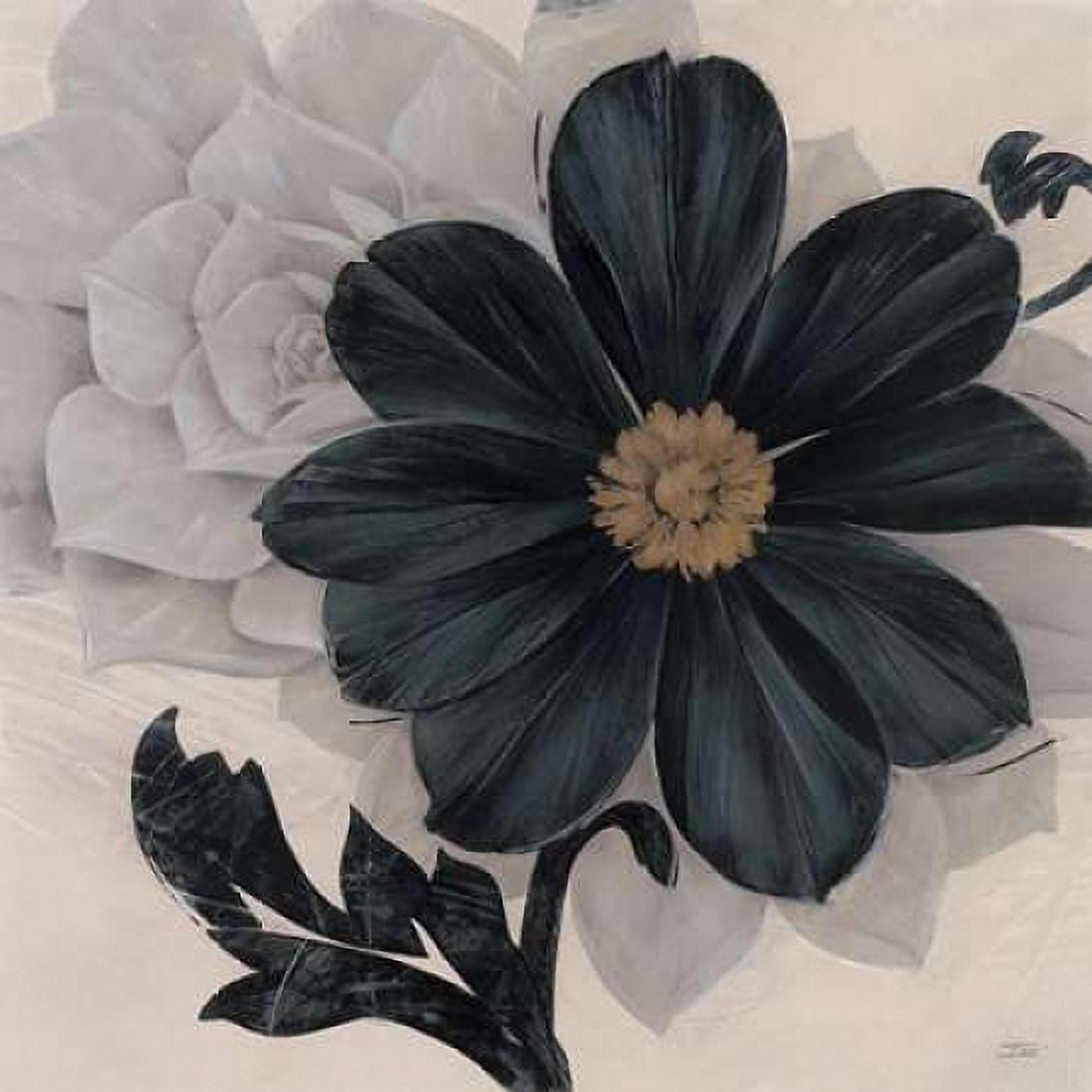 Blossom and Succulent Black Canvas Art - Ivo Stoyanov (24 x 24)