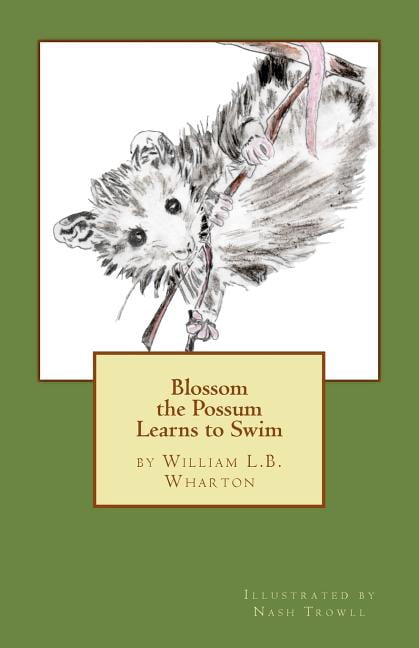Blossom the Possum Learns to Swim, (Paperback)