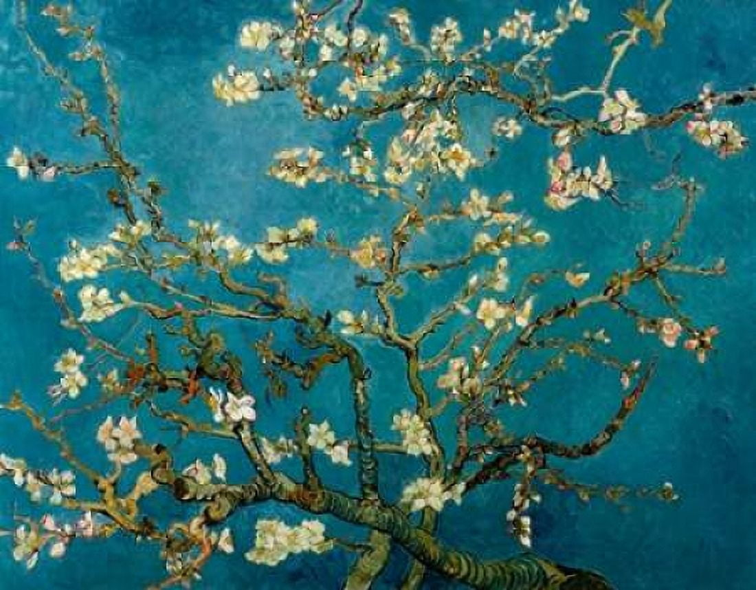 Blossoming Almond Tree Canvas Art - Vincent Van Gogh (22 x 28)