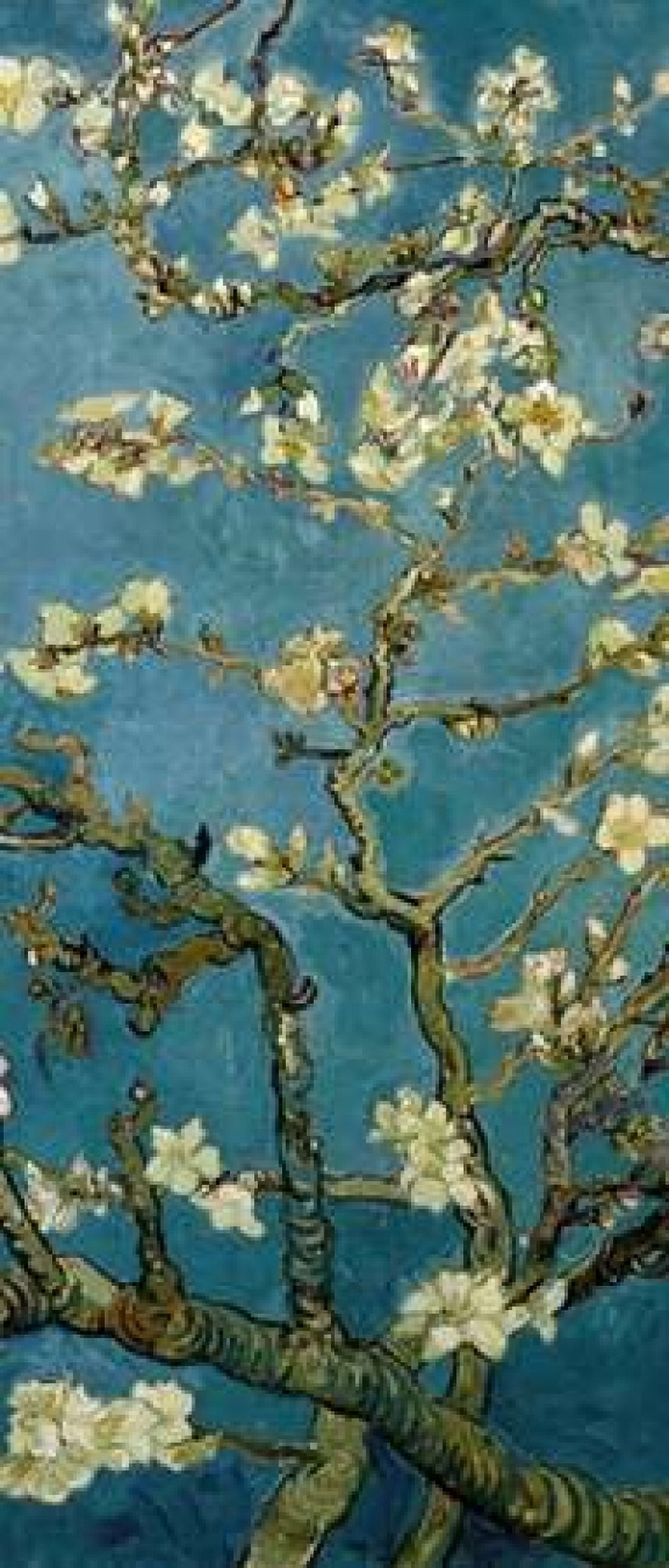 Blossoming Almond Tree - center Canvas Art - Vincent Van Gogh (10 x 20)